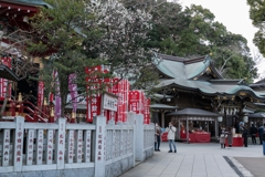 江ノ島スナップ