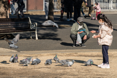 2021-01-31 山下公園