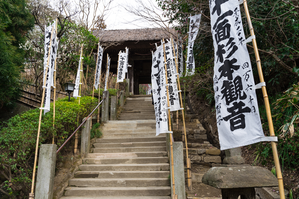 鎌倉・杉本寺