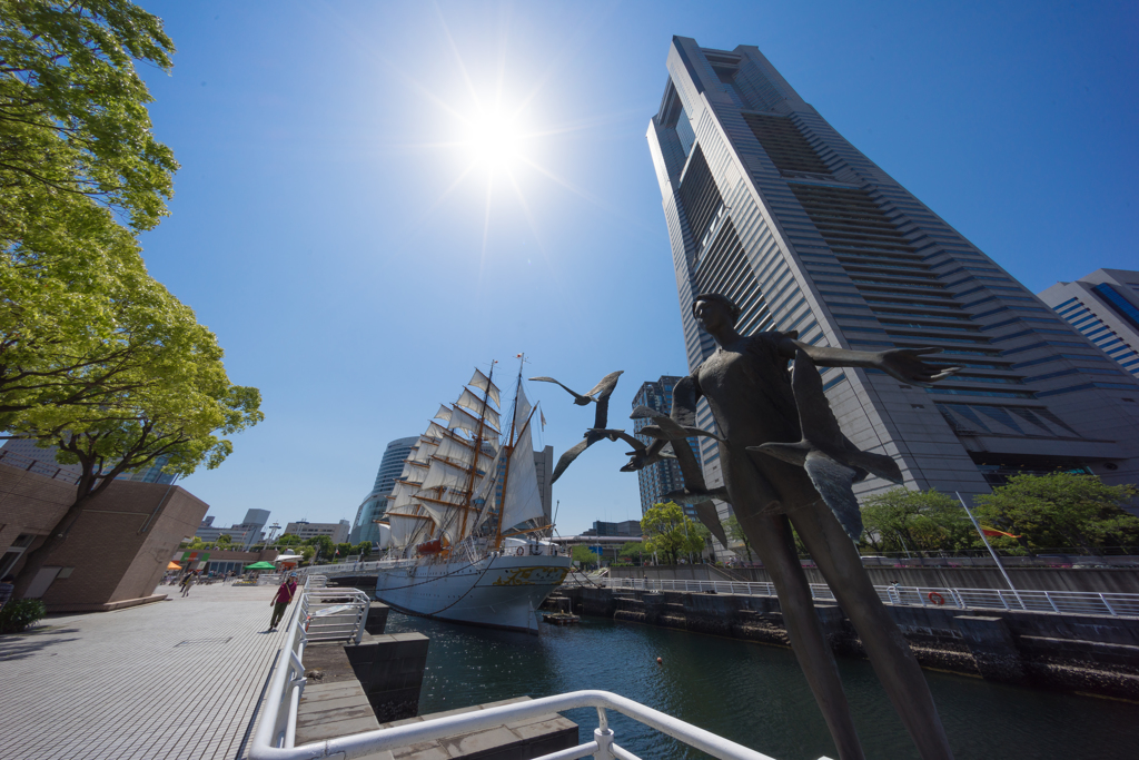 日本丸　総帆展帆