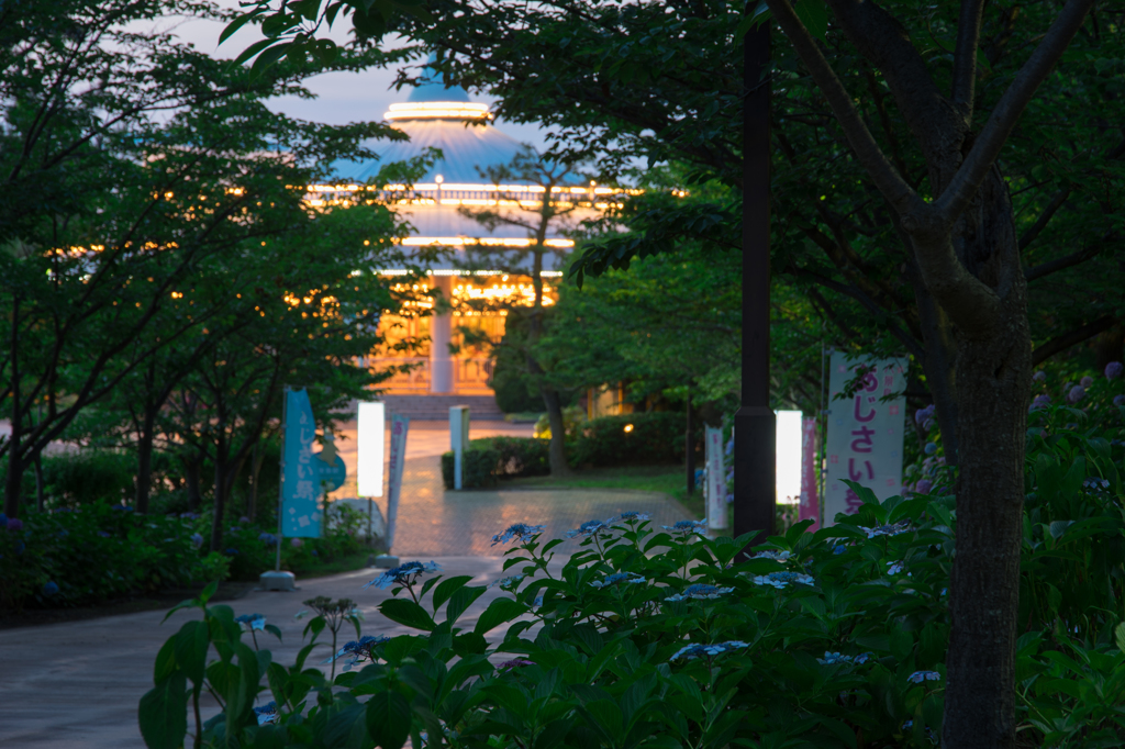 八景島あじさい祭り