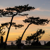 森戸夕景