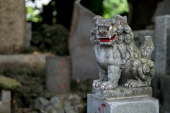 川崎大師スナップ