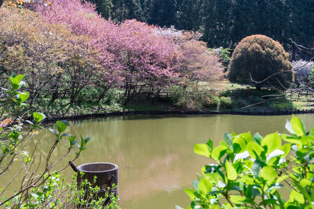 最明寺史跡公園