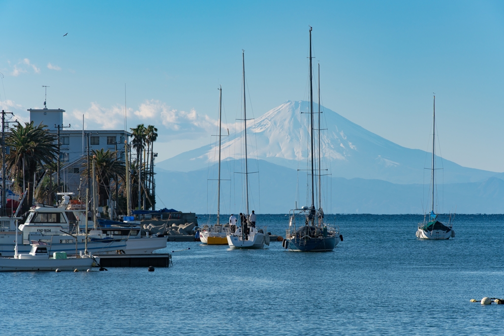 諸磯湾と富士山