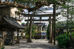 鎌倉　御霊神社