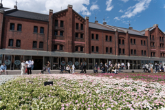 赤レンガ倉庫　フラワーガーデン