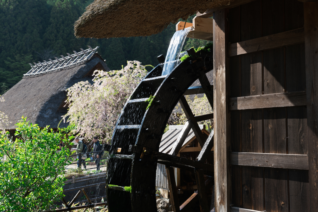 西湖いやしの里根場