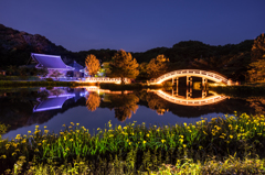 称名寺　ライトアップ