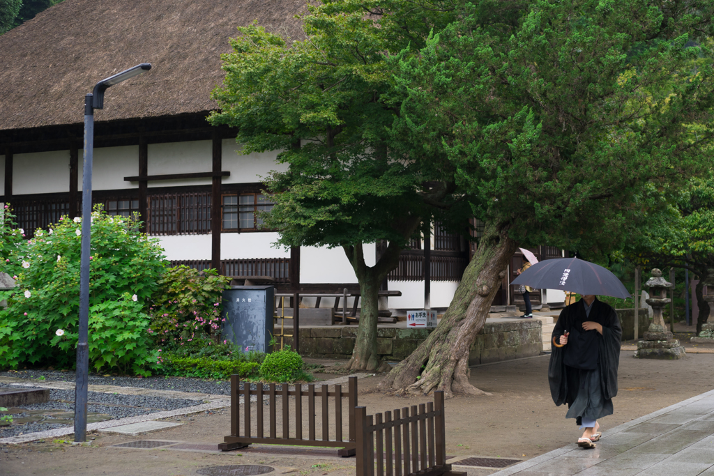 雨の円覚寺