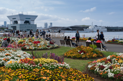 山下公園　花と大さん橋
