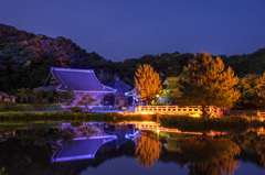 称名寺　ライトアップ
