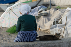 のんびりした昼下がり