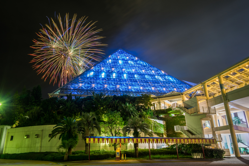 アクアミュージアムと花火シンフォニア