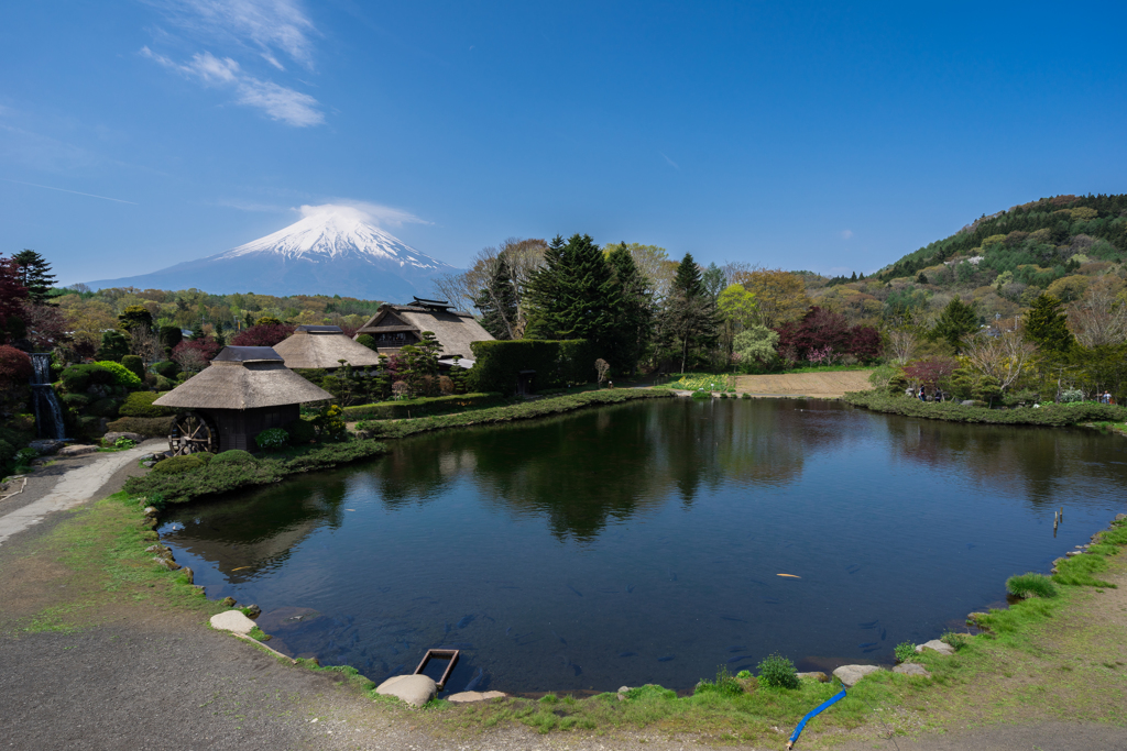 忍野八海