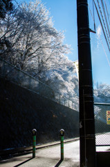 市街地×樹氷