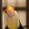 くちばし2
