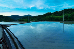 田圃に雲