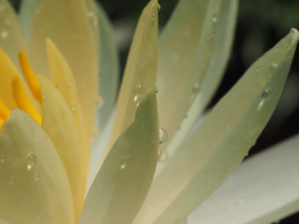 この先の・・・