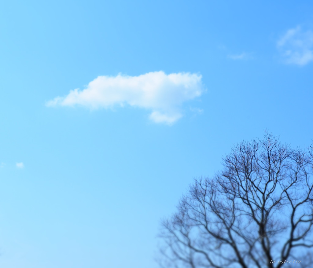 今日の空