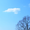 今日の空