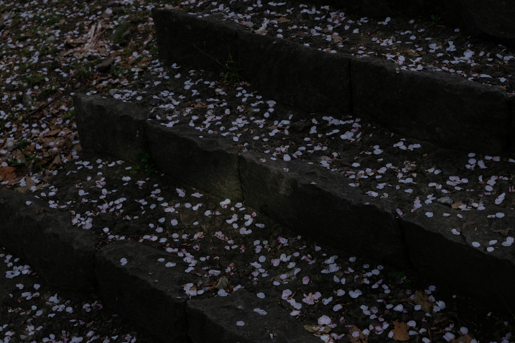 花散らし