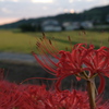 日暮れ