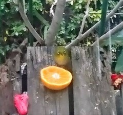 食事中ですけど、何か？