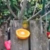 食事中ですけど、何か？