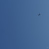 晴れ渡る青空に