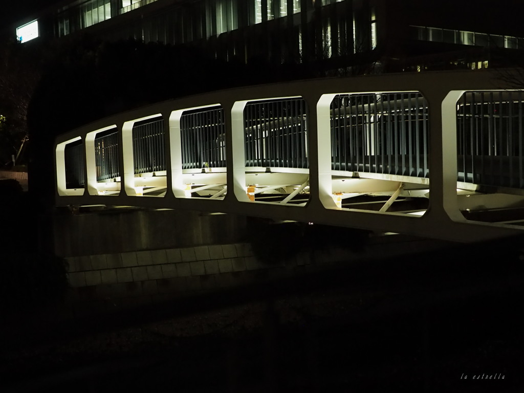 橋