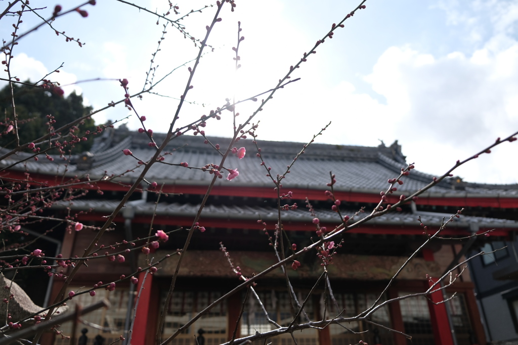 梅香崎天満宮～長崎市