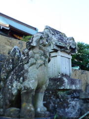 諏訪神社にて～狛犬さん～