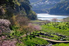 湖面に向かう