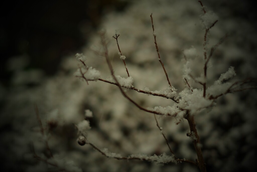 雪飾り