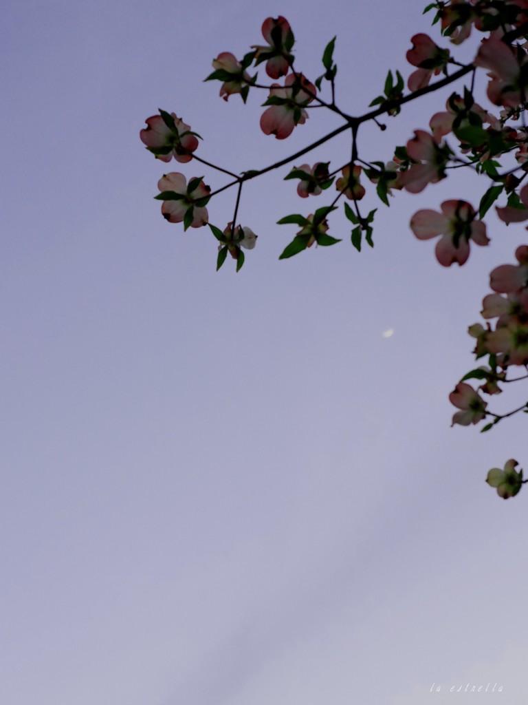 暮れなずむ頃に