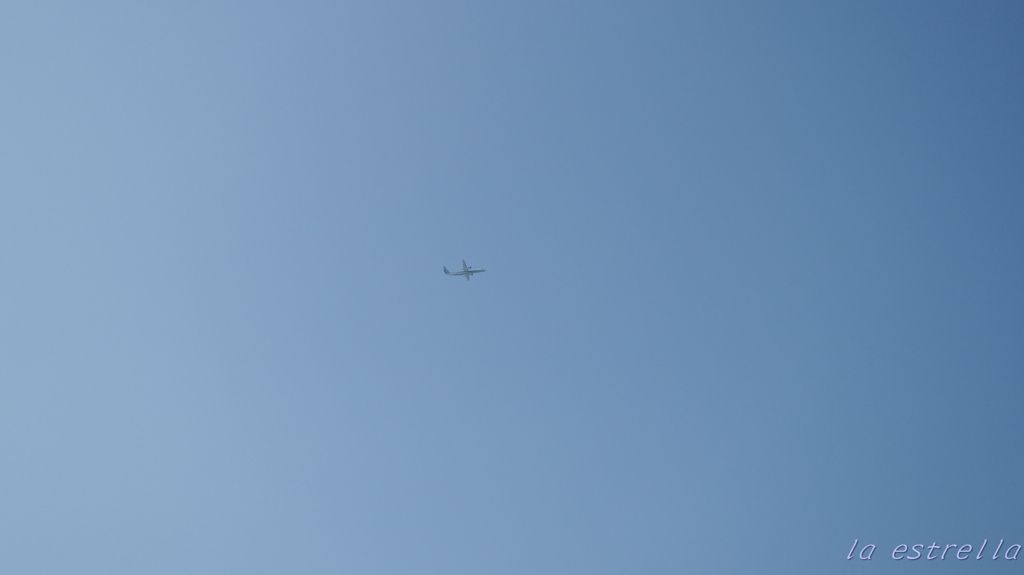 久しぶりの青空