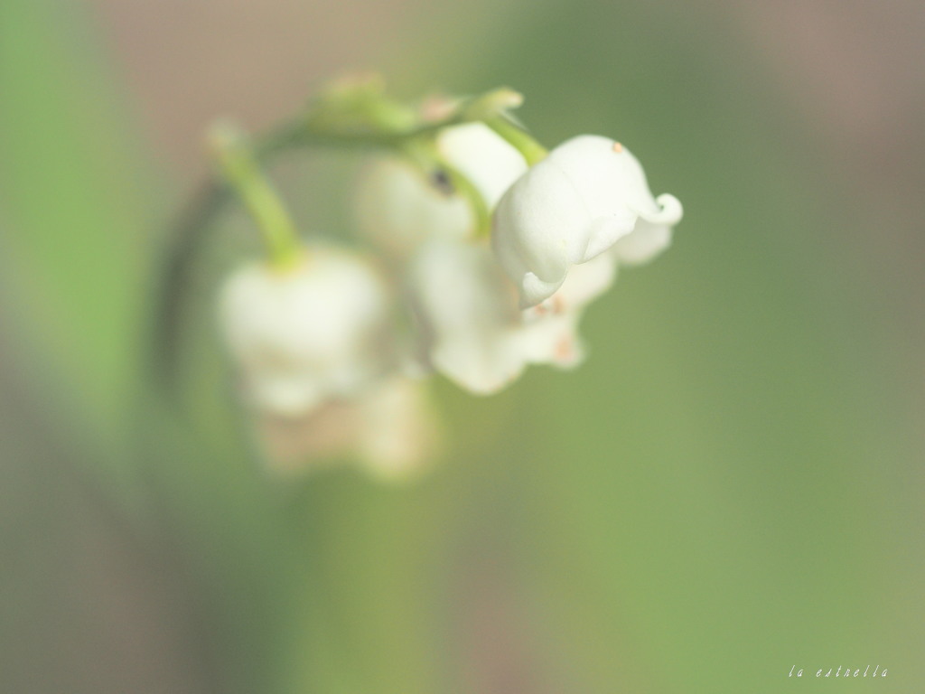 pray for　・・・