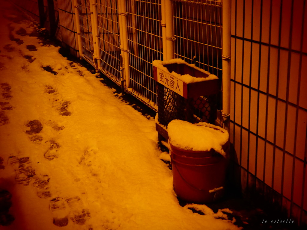 雪の日～2～