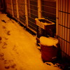 雪の日～2～
