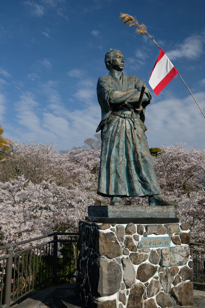 竜馬と桜