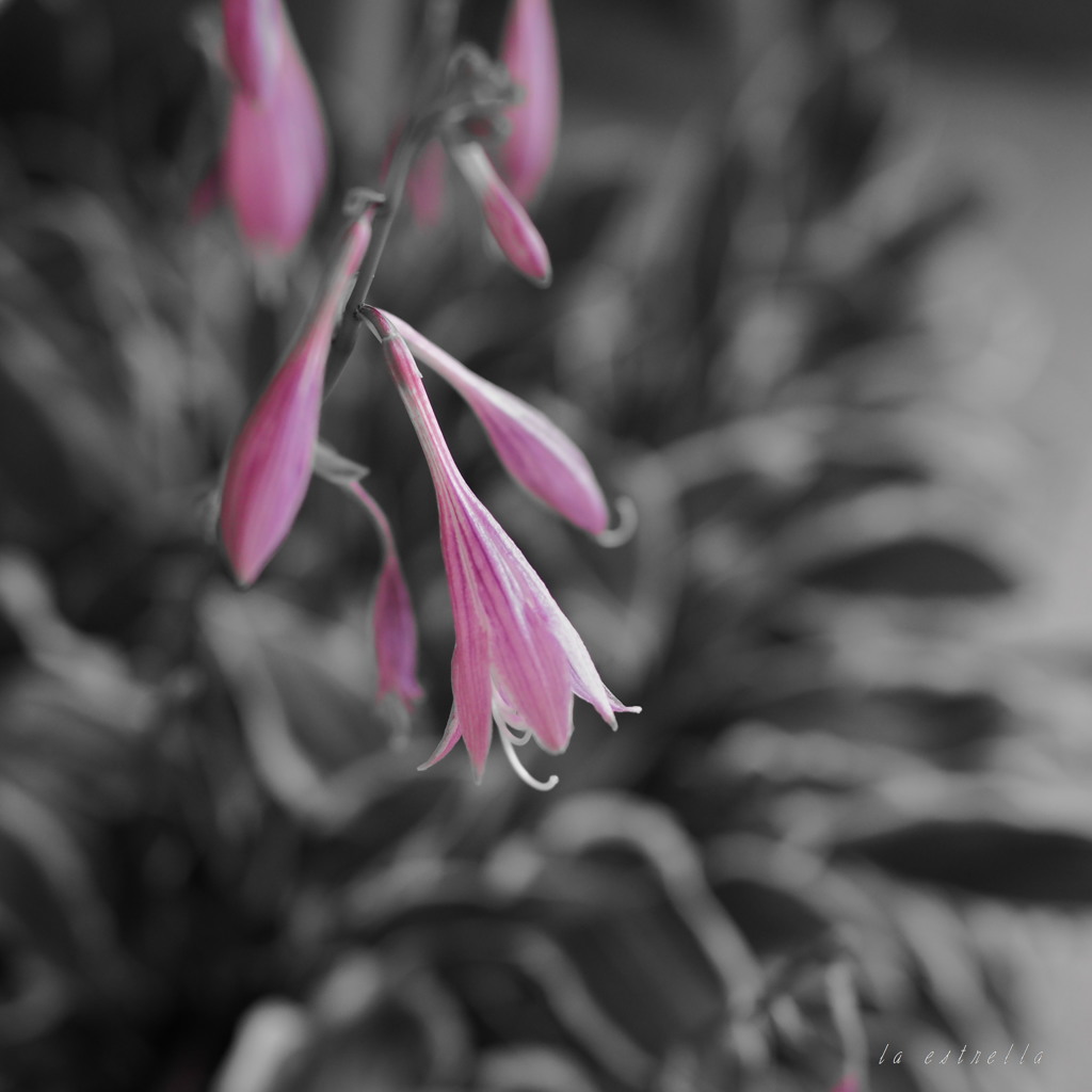 心に灯るような