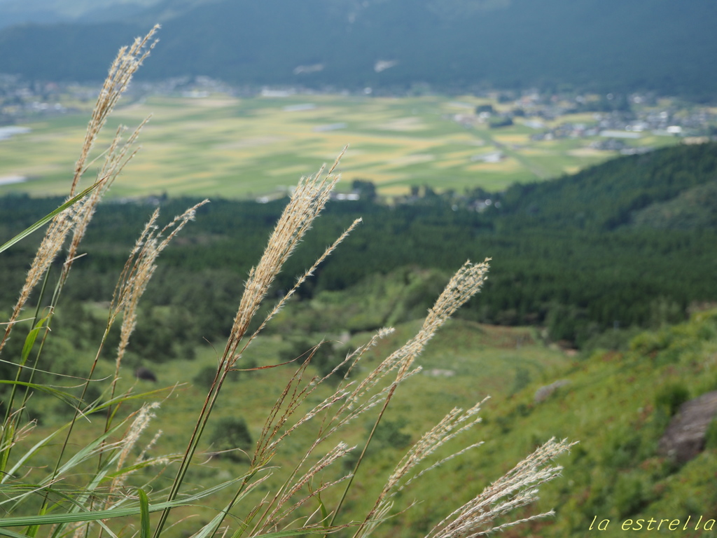 秋の山から