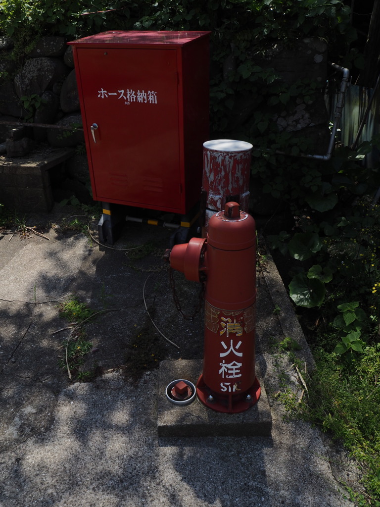 池島・4