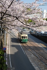 桜と電車～2