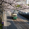 桜と電車～2