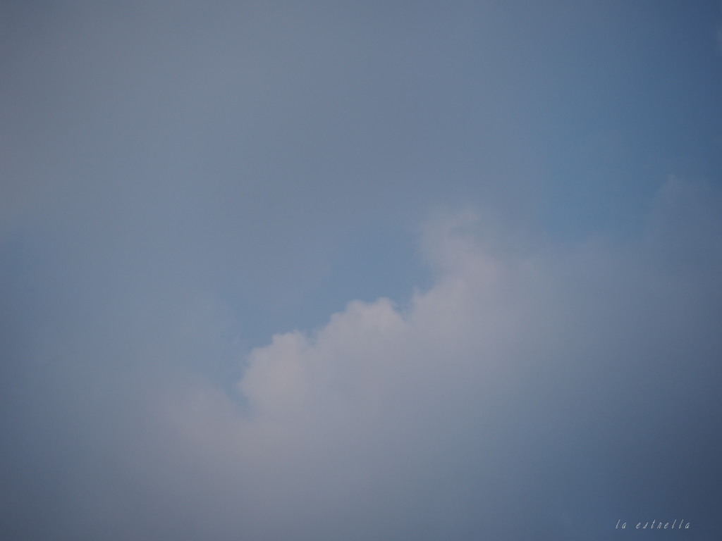 PHOTOHITO記念日♪（わたしの・・・）