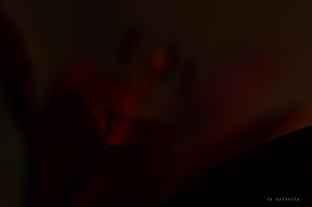 ｄａｒｋ