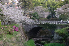 桜と石橋と