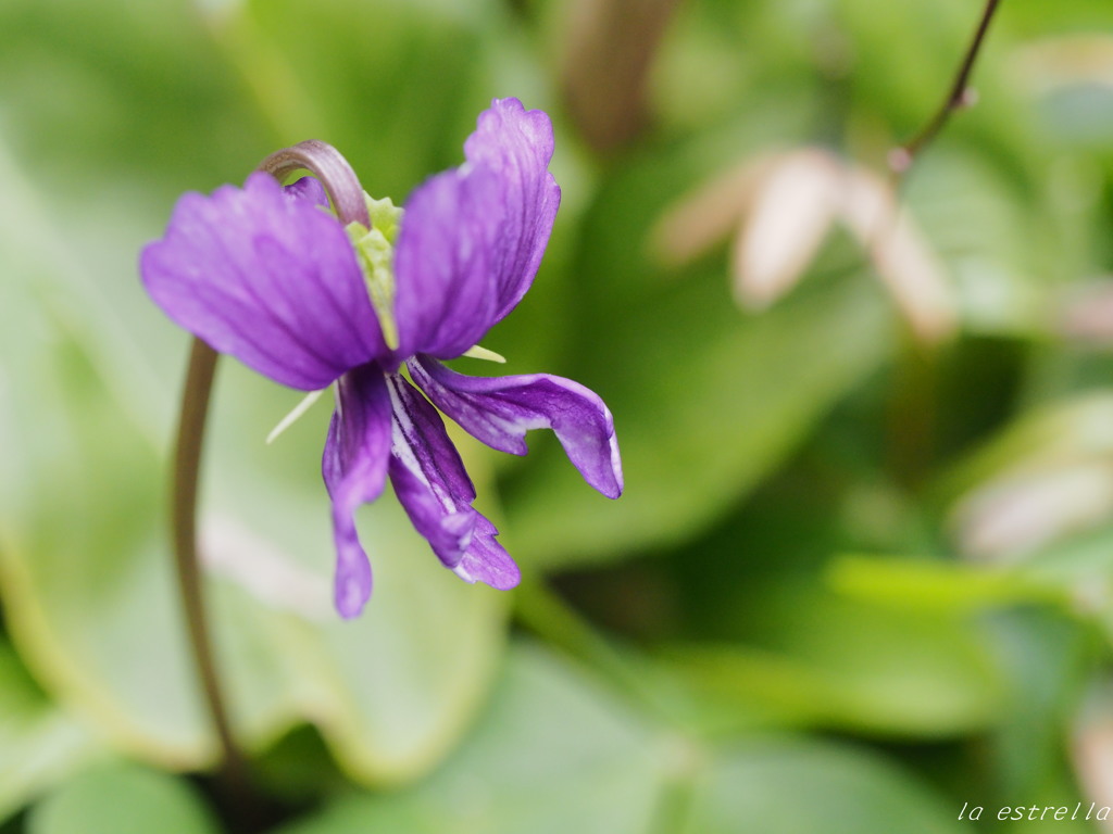 spring has come...